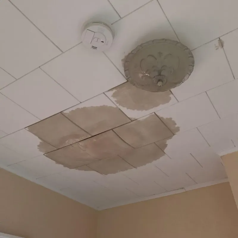 Ceiling Water Damage Repair in South Zanesville, OH