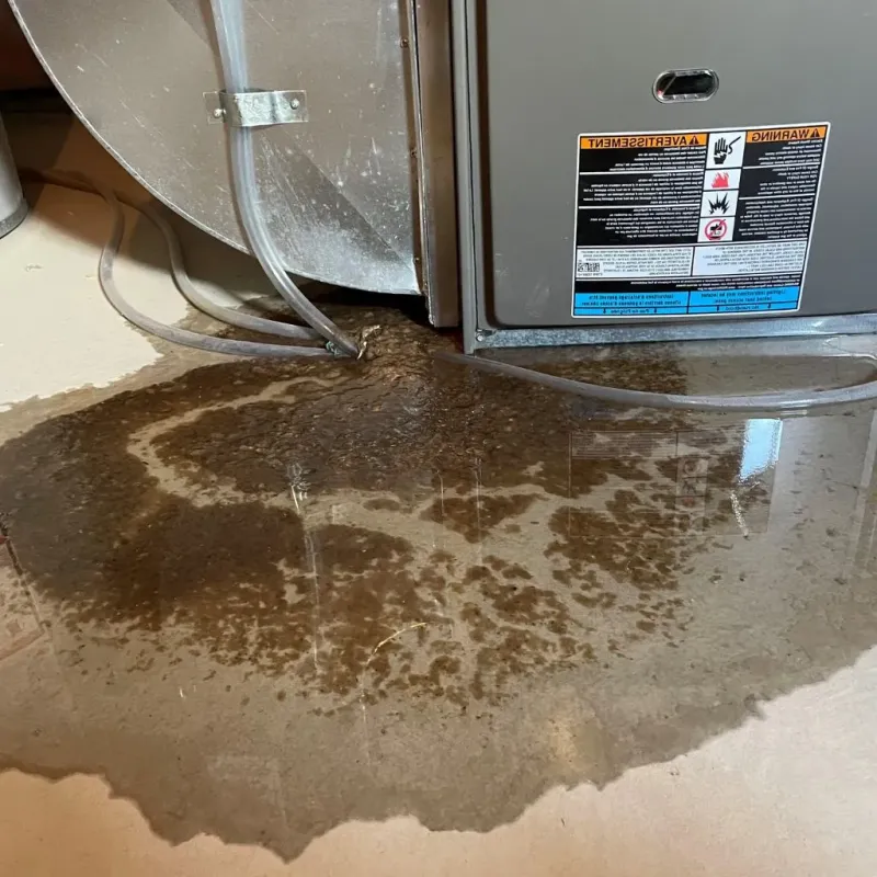 Pipe Burst and Leak Restoration in South Zanesville, OH