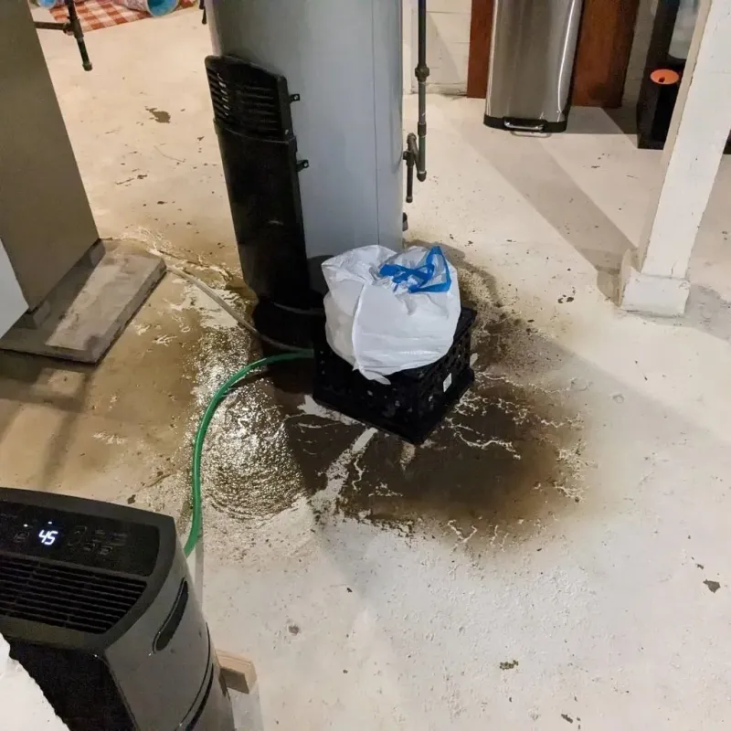 Sewage Backup Cleanup Service in South Zanesville, OH
